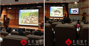 共筑留學(xué)橋梁 關(guān)愛(ài)留學(xué)參與廣島大學(xué)說(shuō)明會(huì)，深化合作與咨詢(xún)服務(wù)