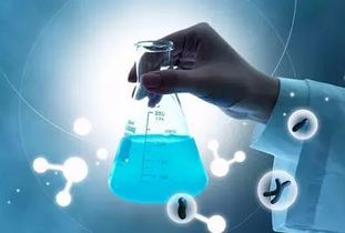 柳橙網(wǎng)最新留學(xué)動(dòng)態(tài) 一網(wǎng)打盡留學(xué)就業(yè)、流程與資訊（123頁(yè)全解析）